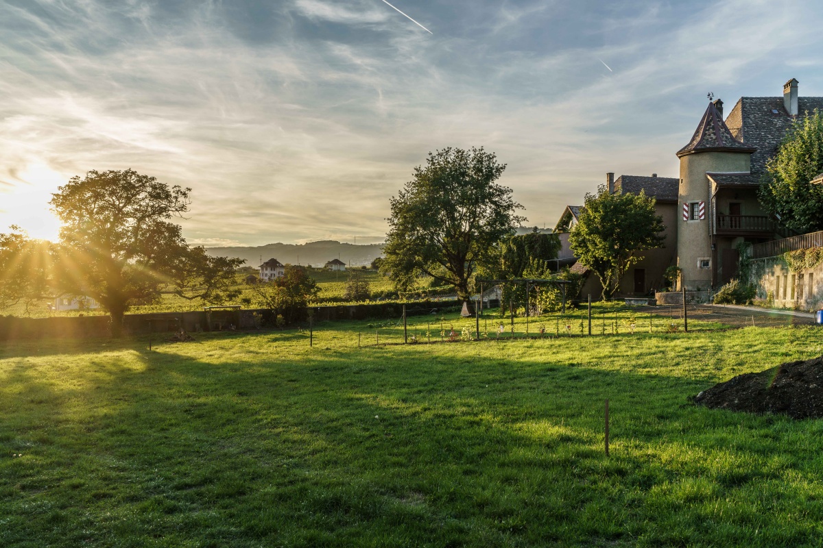 Chateau Rochefort in the setting sun