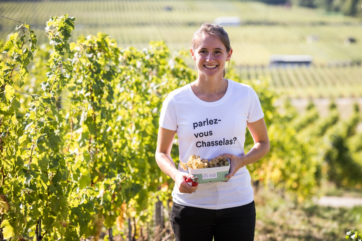 Laura Paccot in the vineyards chasselas