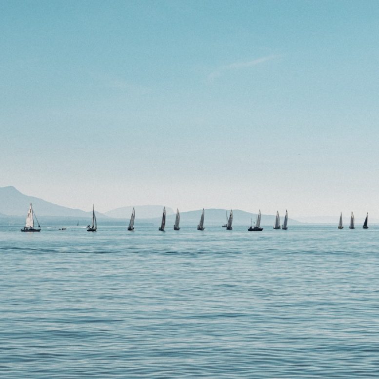 sailboats on lac leman